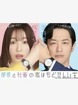 部长和社畜的恋情令人着急 - 电视剧日本剧免费高清电影在线观看