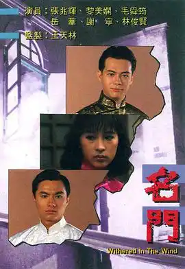 名门 - 电视剧香港剧免费高清电影在线观看